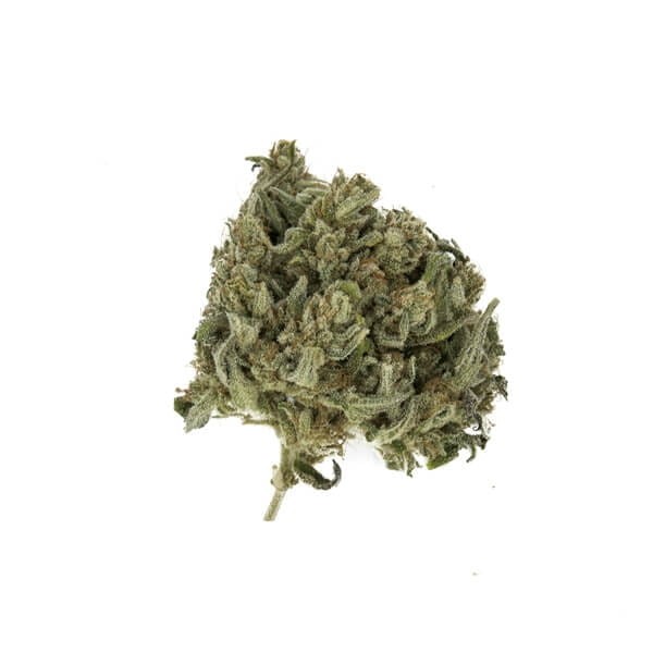 ROYAL QUEEN SEEDS - Royal Highness CBD - 3