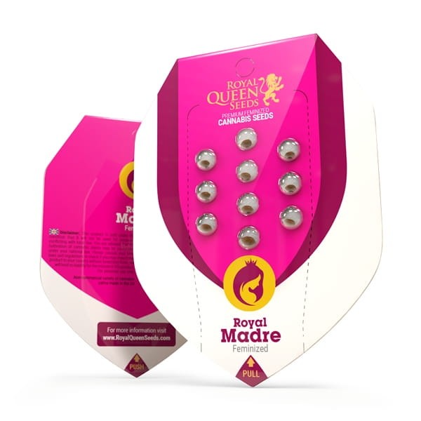 ROYAL QUEEN SEEDS - Royal Madre - 2