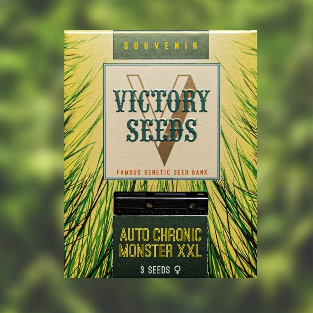 Victory Seeds - Auto Chronic Monster XXL - 1