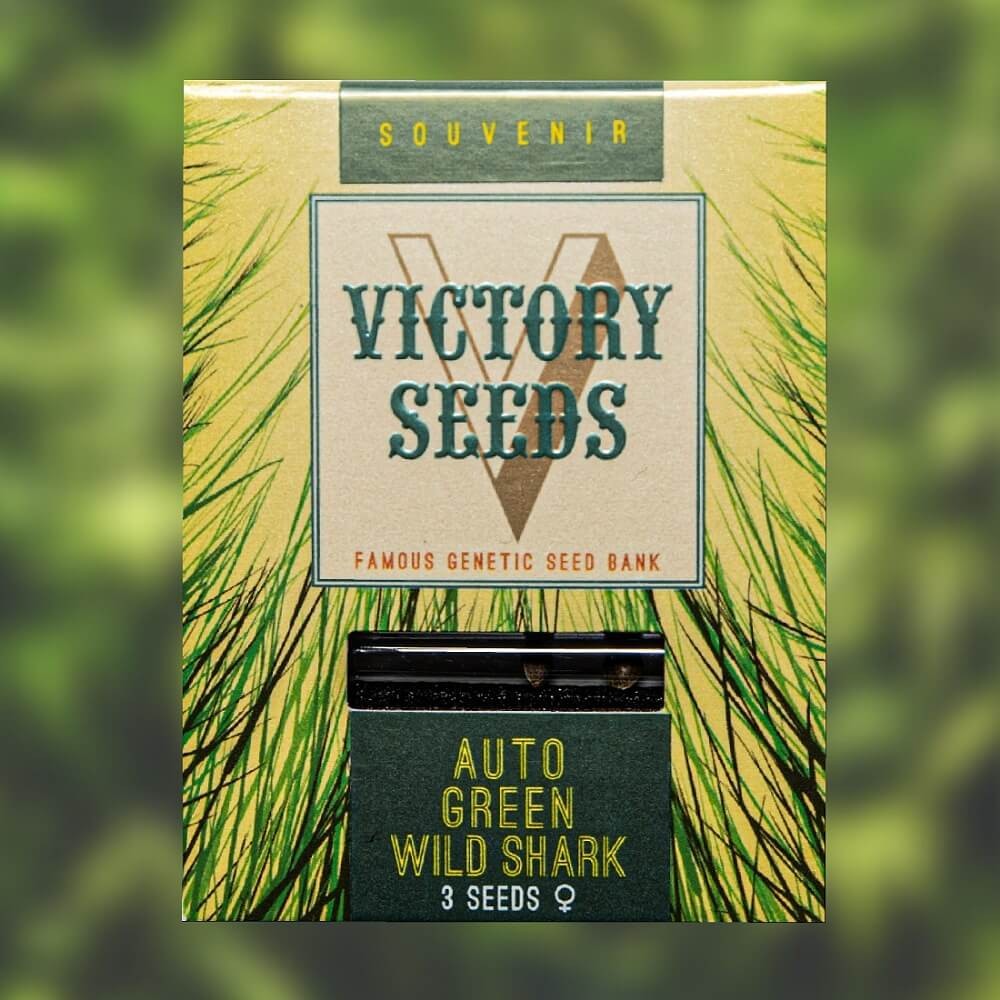 Victory Seeds - Auto Green Wild Shark - 1