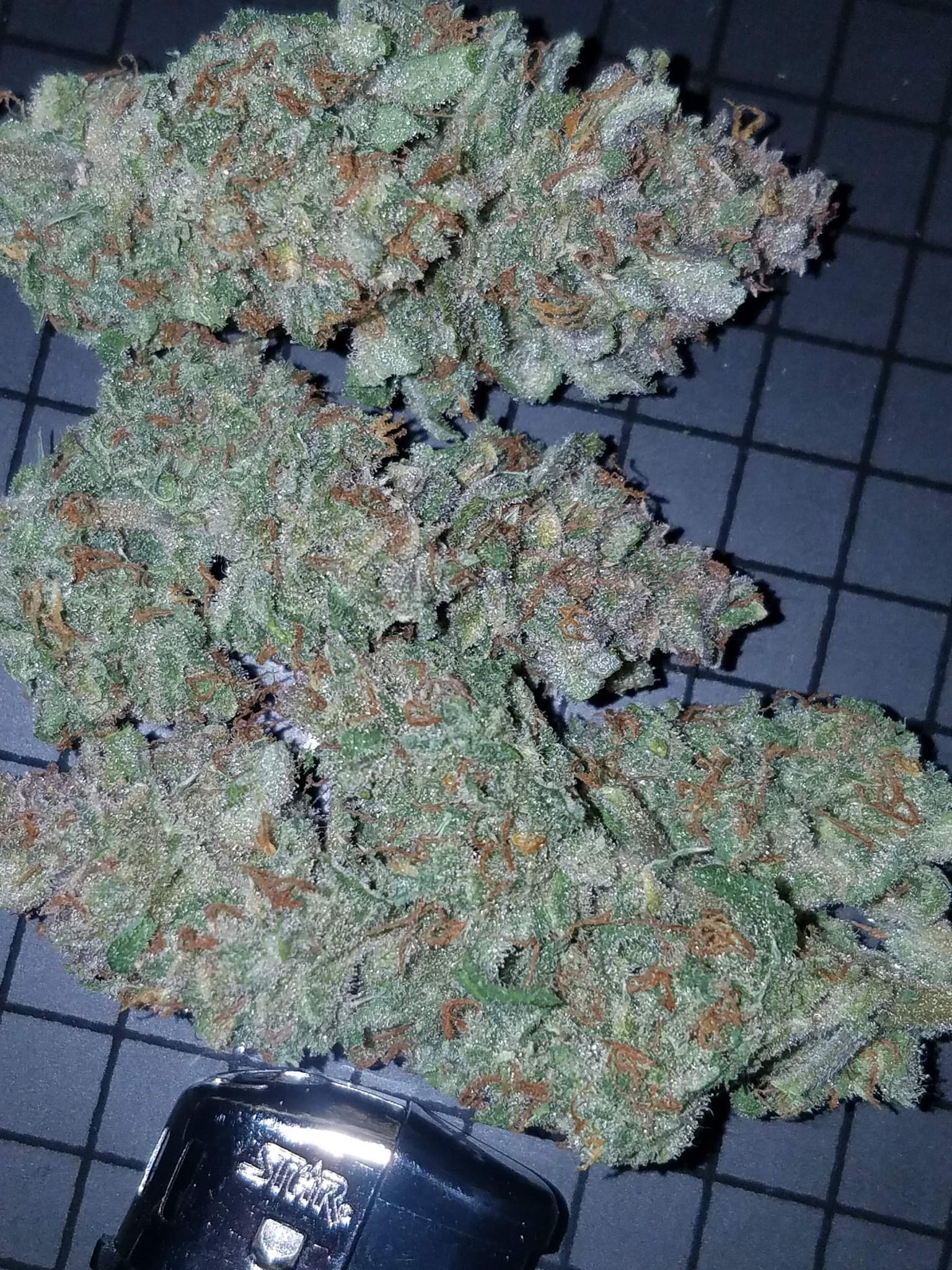 FASTBUDS - Mexican Airlines Auto - 5