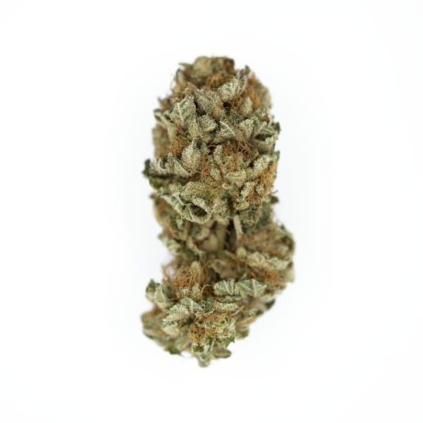 ROYAL QUEEN SEEDS - Royal Cookies - 2