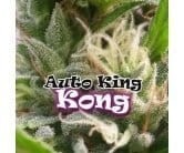 DR UNDERGROUND - Auto King Kong - 1