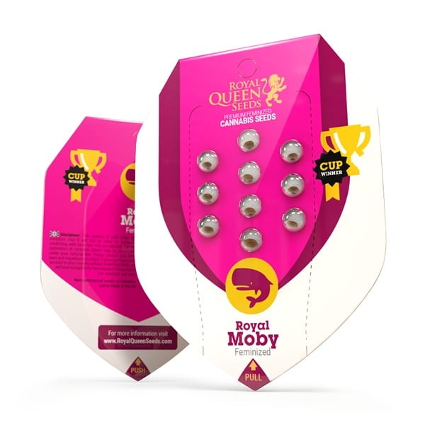 ROYAL QUEEN SEEDS - Royal Moby - 5
