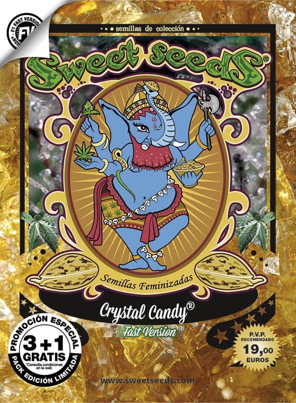 Sweet Seeds - Crystal Candy F1 Fast Version - 4