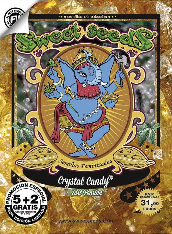 Sweet Seeds - Crystal Candy F1 Fast Version - 5