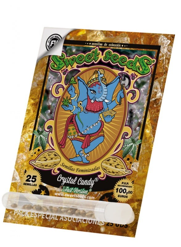 Sweet Seeds - Crystal Candy F1 Fast Version - 6