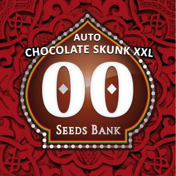 00 SEEDS BANK - Auto Chocolate Skunk XXL - 1