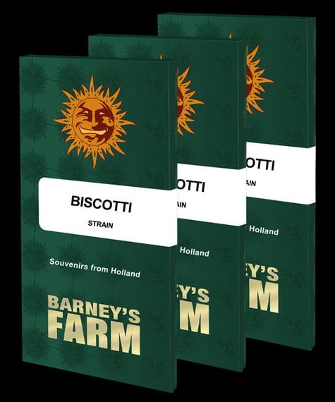 Barney's Farm - Biscotti - 2