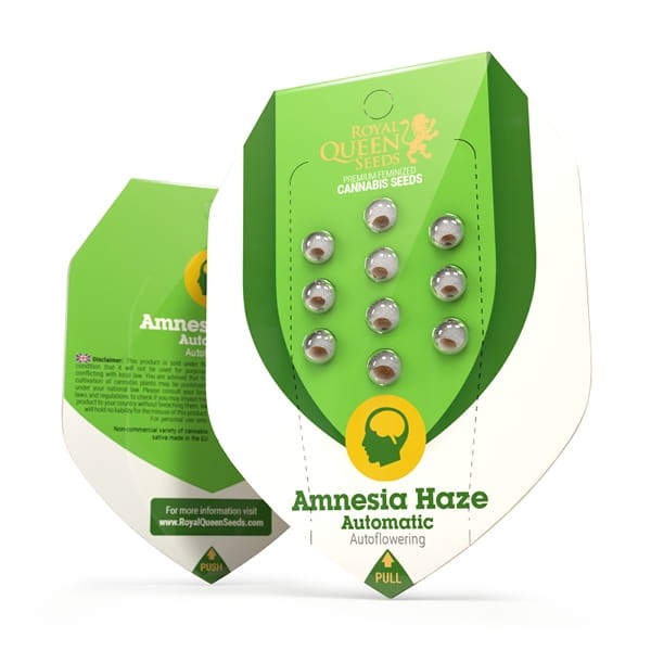 ROYAL QUEEN SEEDS - Amnesia Haze Automatic - 2