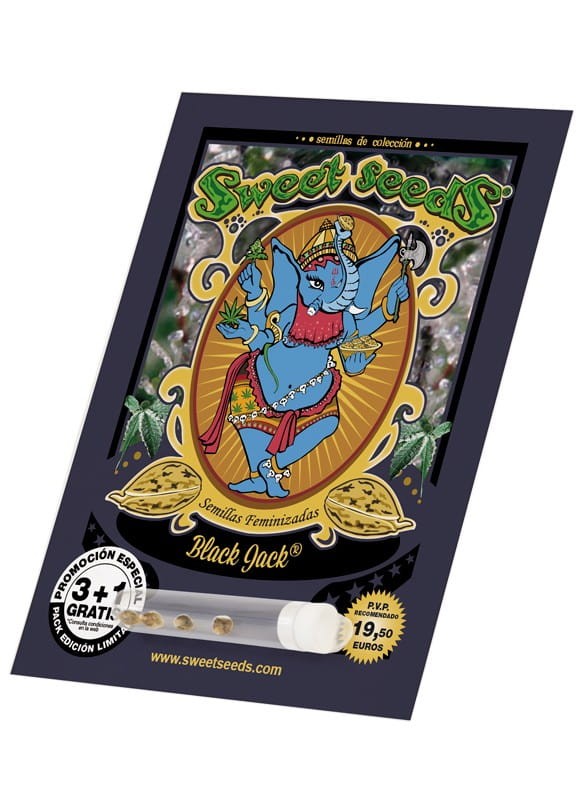 SWEET SEEDS - Black Jack - 2