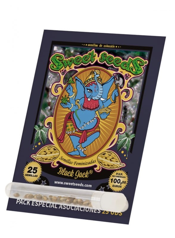 SWEET SEEDS - Black Jack - 4