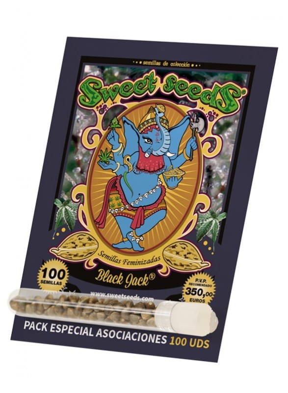 SWEET SEEDS - Black Jack - 5